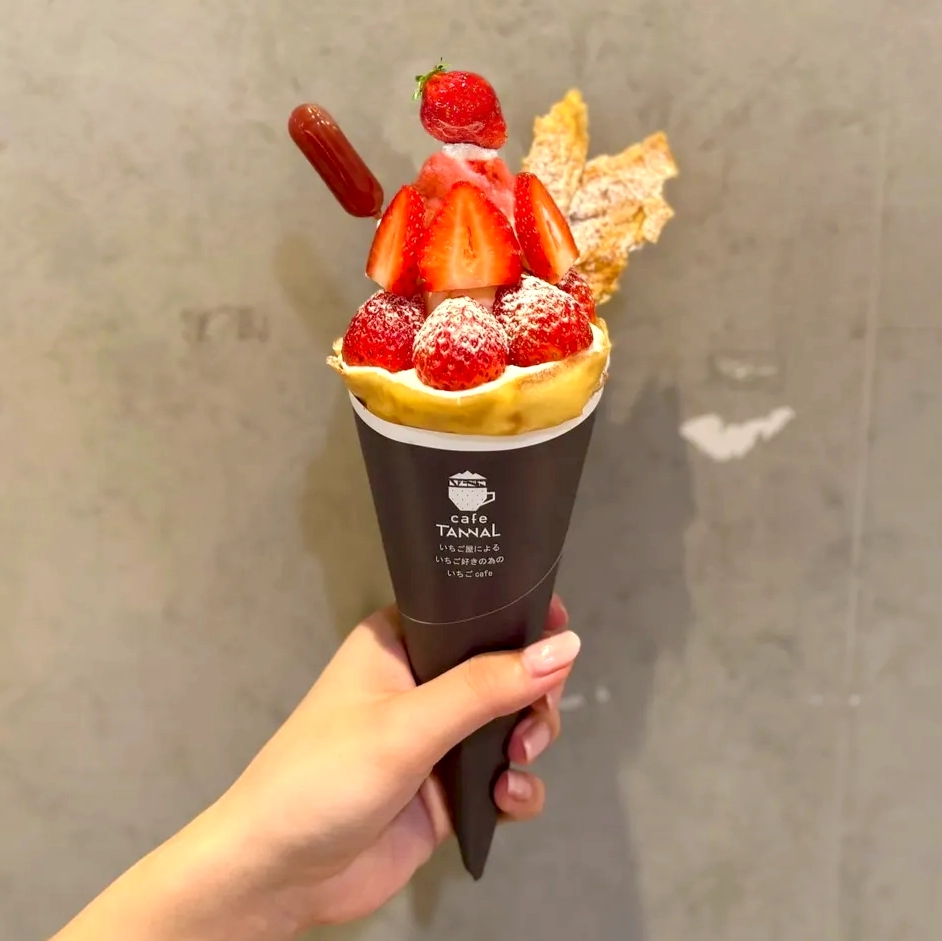 店内の2階からの写真